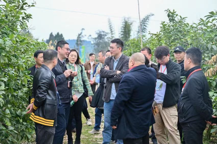 1681266503654039.jpg 1681266503654039.jpg